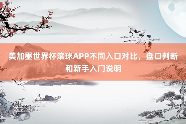 美加墨世界杯滚球APP不同入口对比，盘口判断和新手入门说明